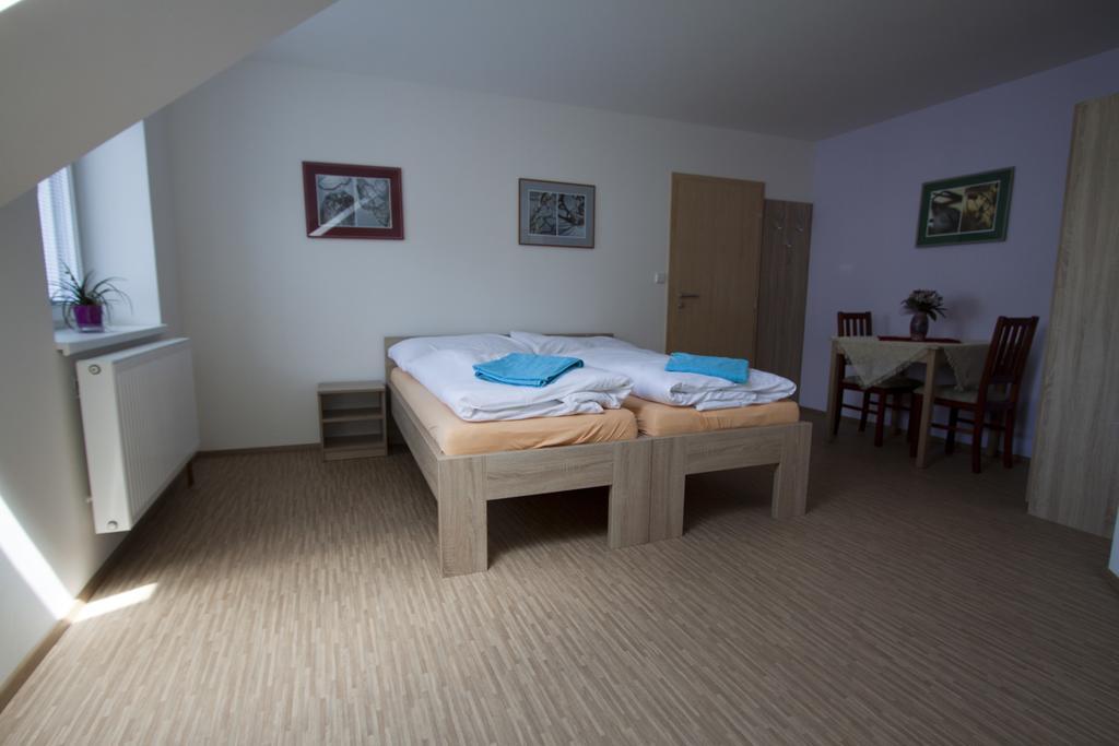 Vila Aneta Luhačovice 部屋 写真